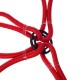 Gumové upínacie popruhy/gumičky pavúk CARGO CORD SPIDER BASIC 120, 120cm, 8 ramien
